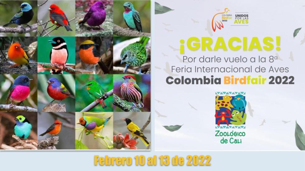 Colombia Bird Fair 2022