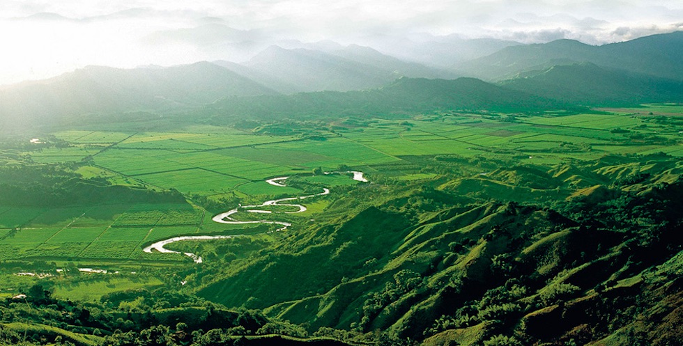 Valle del Cauca se consolida como bastión de la izquierda
