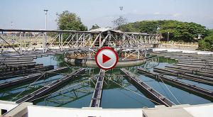 Video Cali ¿qué está pasando con el agua potable?