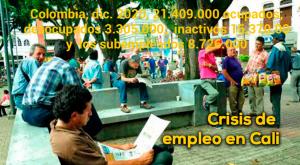 Crece desempleo en Cali y en Colombia