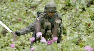Colombia convertida en narco estado