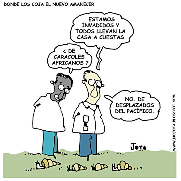 Donde los coja el nuevo amanecer