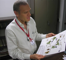 Congreso Botanica UNIVALLE Daniel Debouck