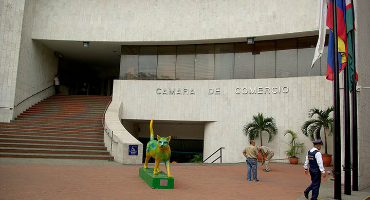 ccc-IMGP0325