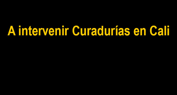 curadorias