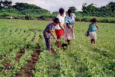 Agricultura_Familiar