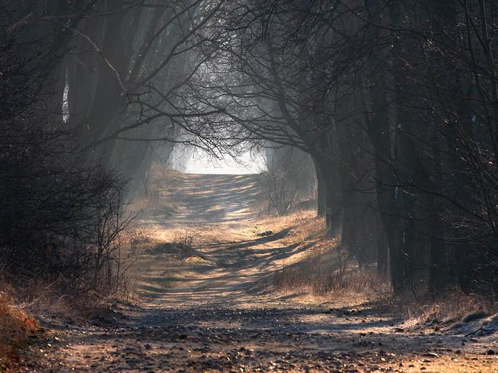 110-muere-antes-de-morir