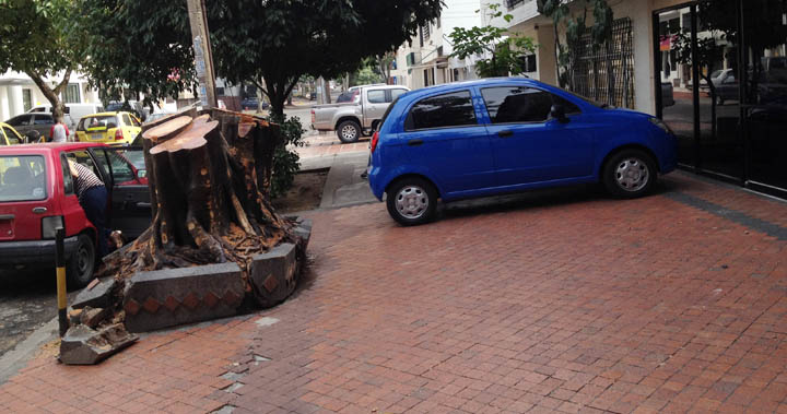 Avenida-7N-IMG_0124