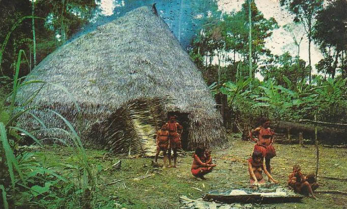 vivienda-amazonas