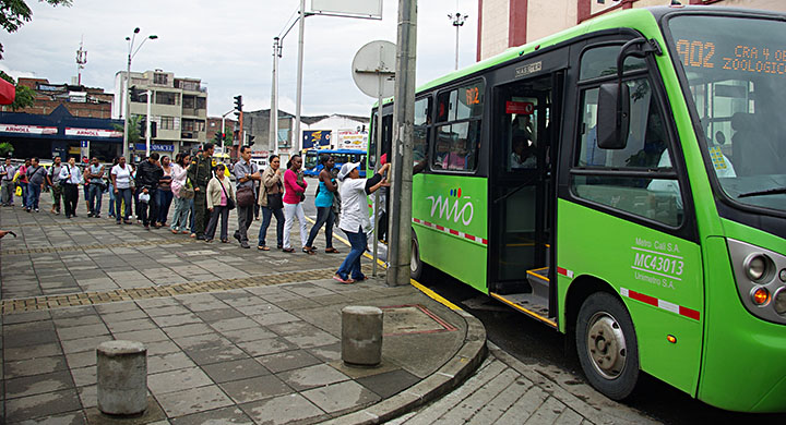 MIO-alimentador-IMGP8932