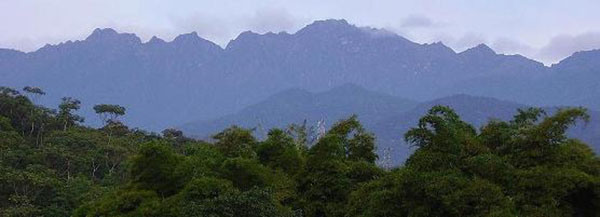 farallones