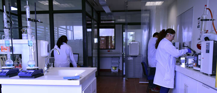 javeriana-1