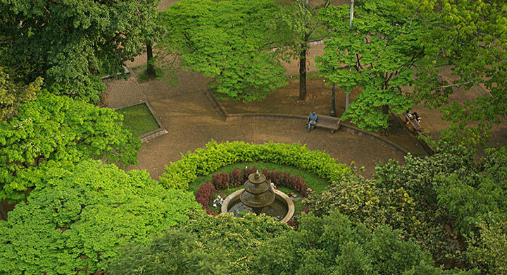 paseo-bolivar-IMGP3591-ppal