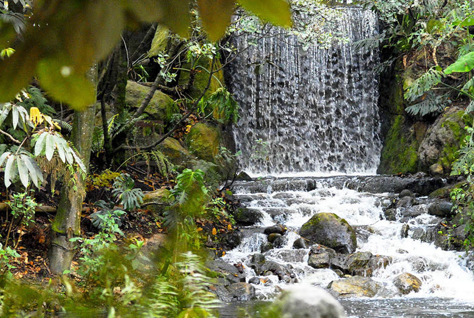 Jardín Botánico de Cali y la CVC