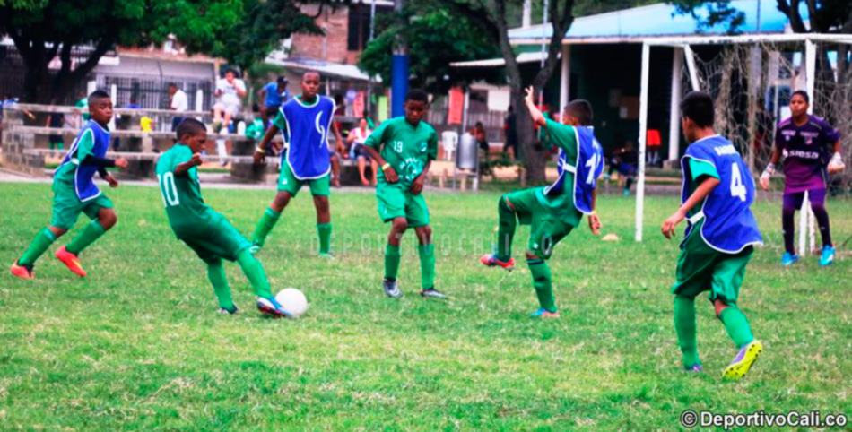 Sistema de captación de jugadores para la cantera de Deportivo Cali