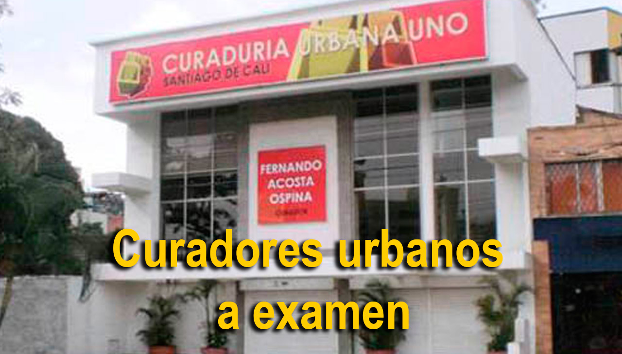 Curadores urbanos a examen