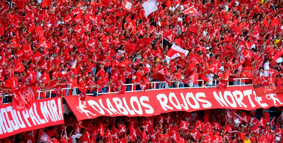 fdfbvc