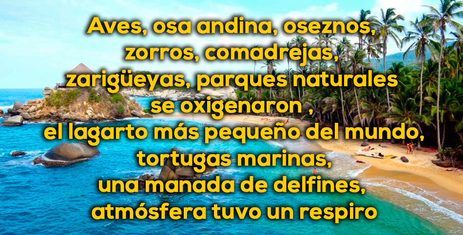 rdfg