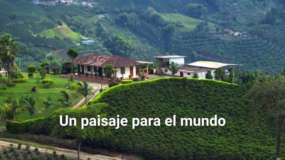 Economía y cultura… producción cafetera por más de 100 años