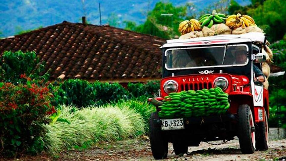 Economía y cultura… producción cafetera por más de 100 años