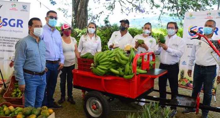 Un oasis que florece aún en la pandemia