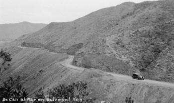 wfwef
