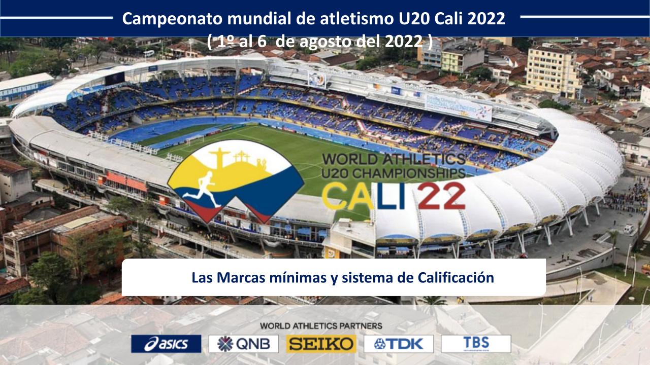 Las Marcas mínimas y sistema de Calificación