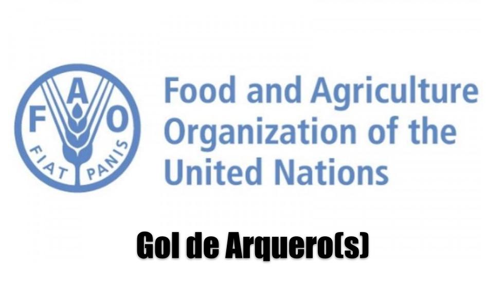 Embajadores en Italia y la Santa Sede del Vaticano:  Falta de previsión