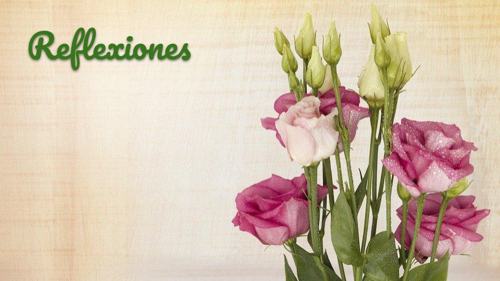 En torno a la situación de la mujer
