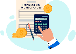 Ciudadanos y ciudad