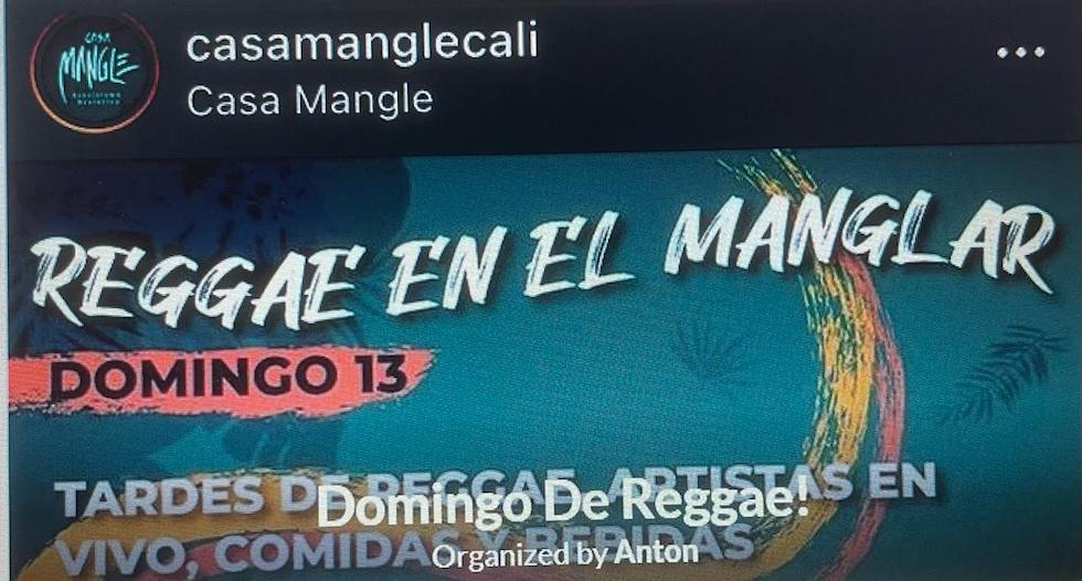 Reggae en el manglar