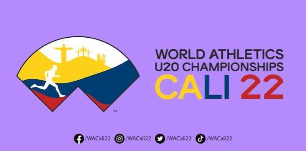 Telepacífico, el canal del mundial