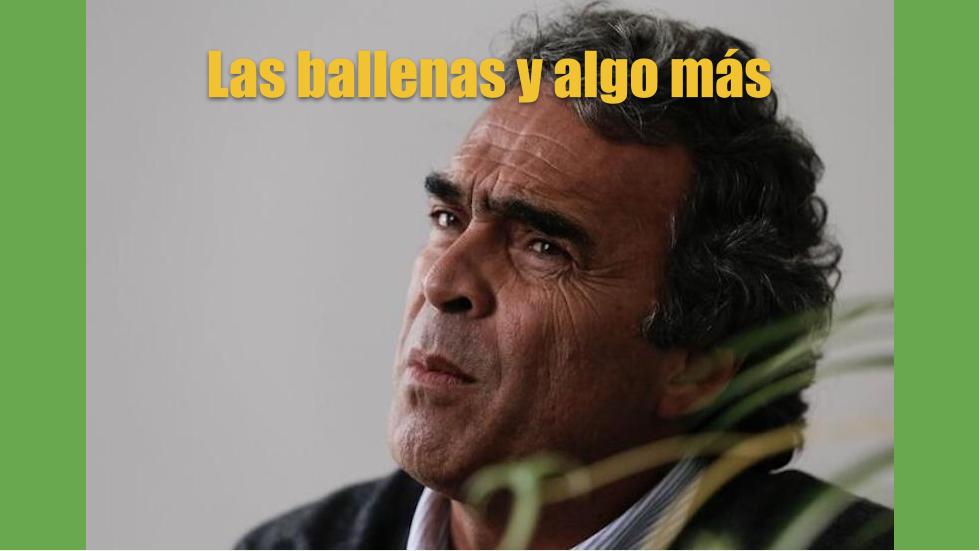 Fajardo el declive total