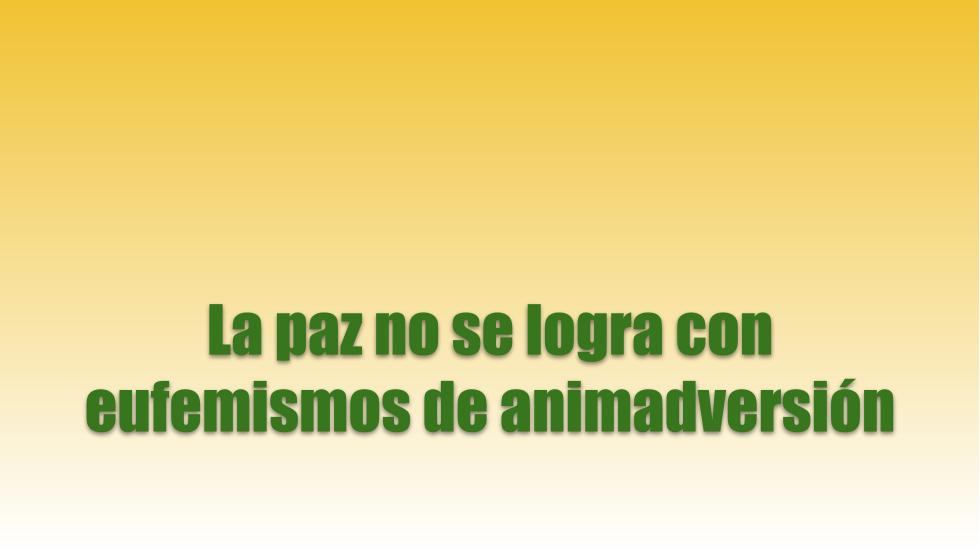 Las revelaciones de Fátima