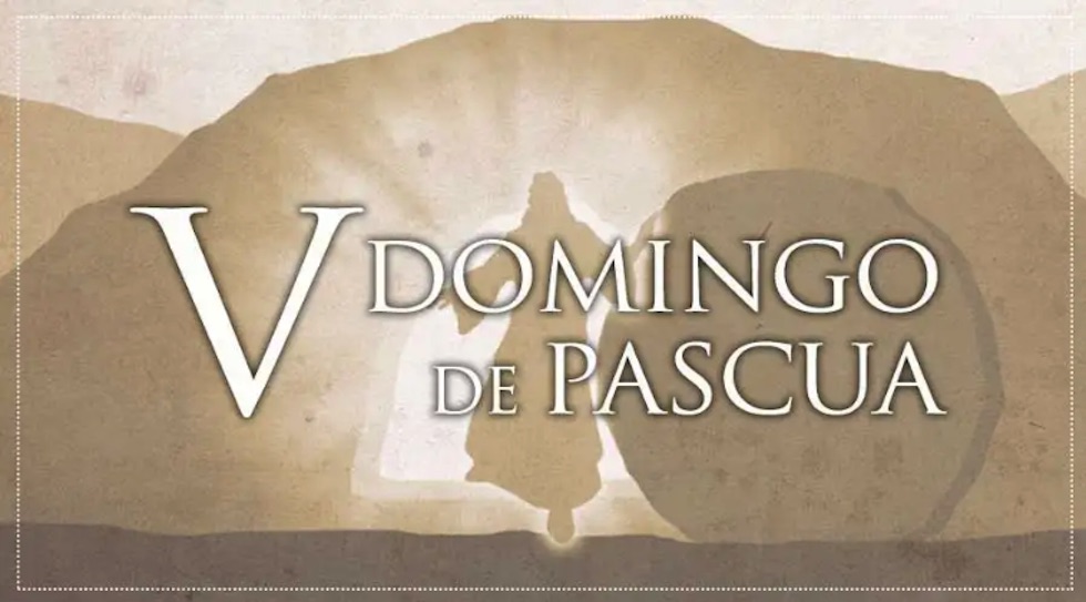 Evangelio para el domingo 15 de mayo