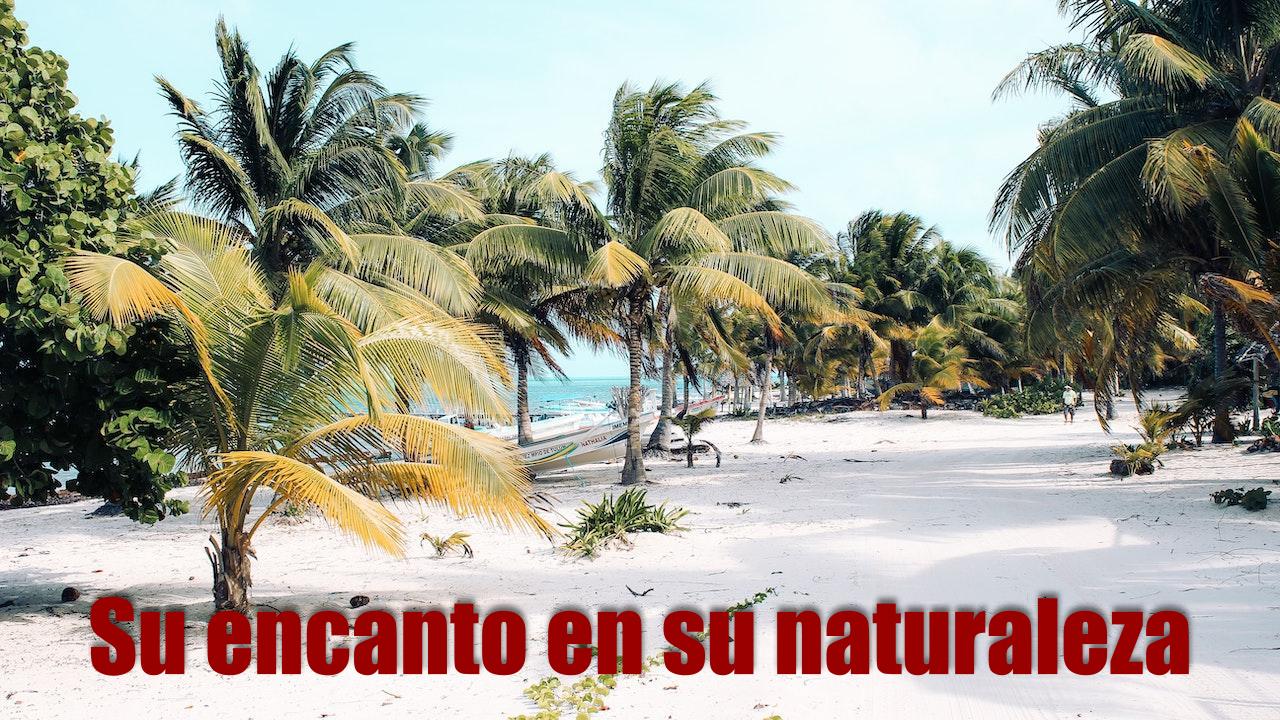 Playa Del Carmen
