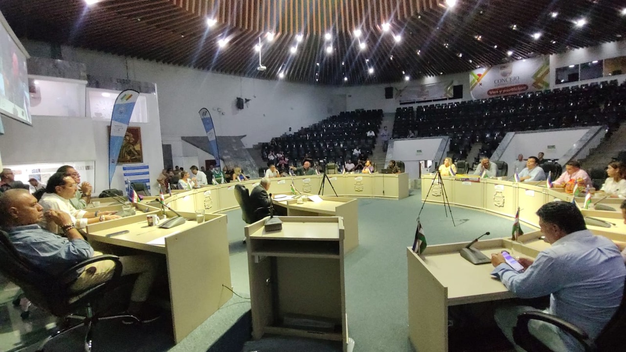 Los ladrones de Cali