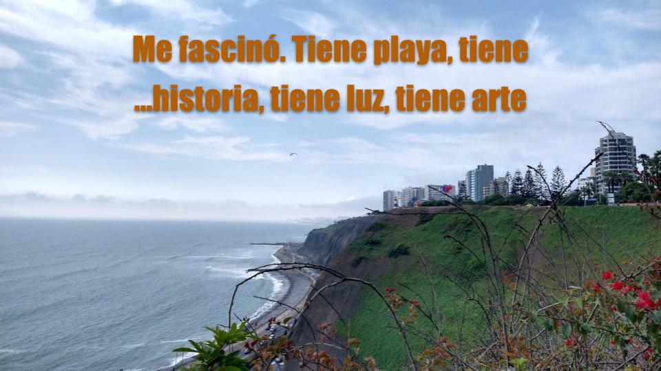 Lima, Panza De Burro