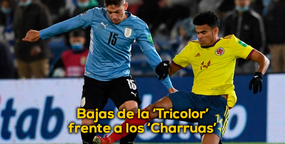 NUEVOS-SUPLEMENTARIOS